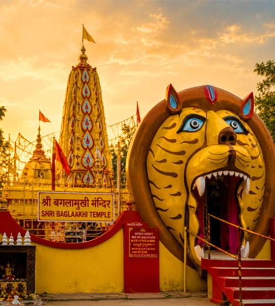 Baglamukhi Mata Temple Pandit Vishal Sharma Guruji